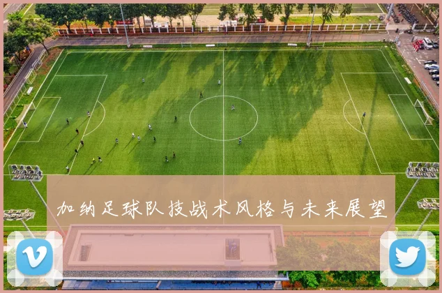 加纳足球队技战术风格与未来展望