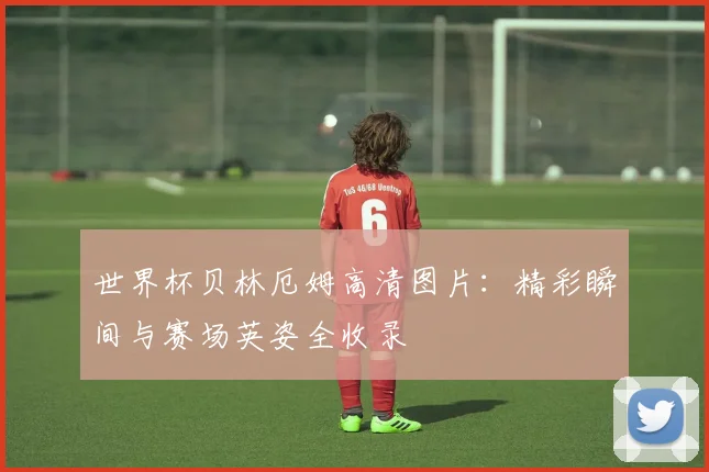 世界杯贝林厄姆高清图片：精彩瞬间与赛场英姿全收录
